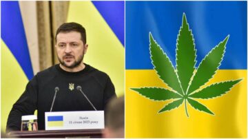 Zelensky skubber til legalisering af medicinsk cannabis for at hjælpe ukrainere, der lider 'krigstraumer'