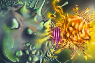 Tümörlerle savaşmak için antikorlarla donatılmış yapay DNA yapıları