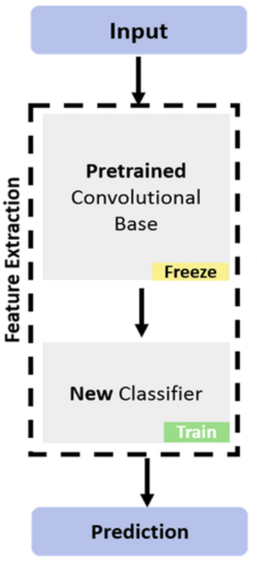 Feature extraction | Finetuning Large Language Models