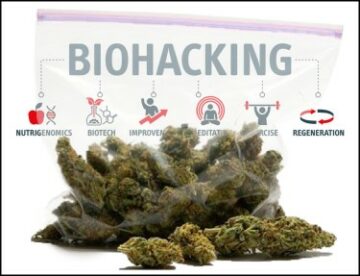 Biohacking Your Body's Dopamin System - Spinning the Wheel of Dank