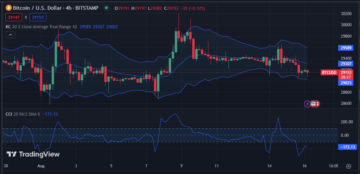 Bitcoin Price Analysis 16/08: BTC's Resilience and Divergence Defy Norms Amid Market Swings - Investor Bites