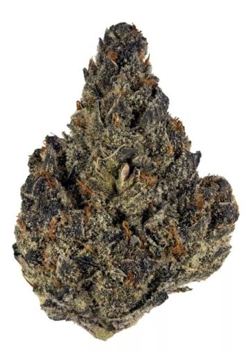 Cepa Blueberry Cookies - Tutoriales de cannabis