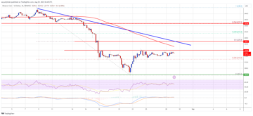BNB Price Prediction: Recovery To $235 On The Horizon As Bulls Step-in