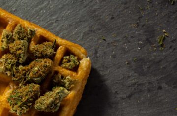 Border Officials Seize 2,000 Pounds of Pot Disguised As Frozen Waffles | High Times