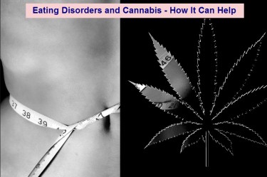 CANNABIS FOR EATING DISORDERS APPETITE