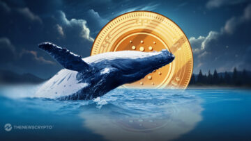 Cardano (ADA) Pumps With Increasing Whale Accumulation, Reports Santiment