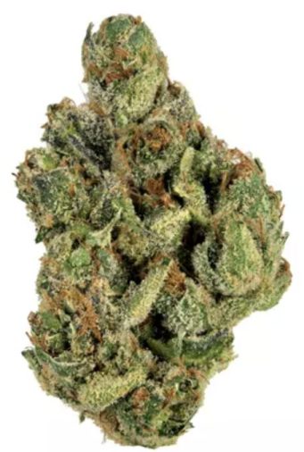 Clementinen-Sorte – Cannabis-Tutorials
