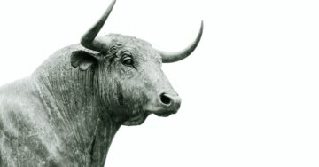 Criptografia para consultores: Bitcoin e o touro