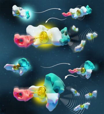 Menguraikan bagaimana molekul 'berbicara' satu sama lain untuk mengembangkan teknologi nano baru