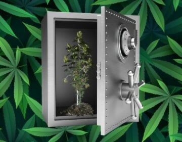 Systèmes de sécurité pour la culture du cannabis DIY (Guide étape par étape)