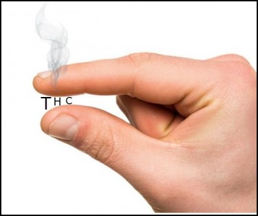 LOW THC CANNABIS STRAINS TO SMOKE