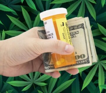 Czy legalizacja marihuany zwiększa lub zmniejsza koszty opieki zdrowotnej w państwie? Właśnie wydano nowe badanie!