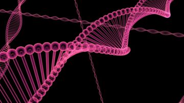 Nghiên cứu điện di truyền tìm thấy một ngày nào đó chúng ta có thể kiểm soát gen của mình bằng thiết bị đeo