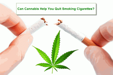 CAN WEED HELP YOU QUIT CIGARETTES