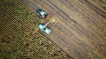 Фінтех у сільському господарстві: як цифрові платформи розширюють можливості фермерів