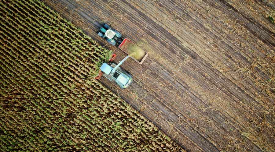 Fintech στη γεωργία: Πώς οι ψηφιακές πλατφόρμες ενδυναμώνουν τους αγρότες