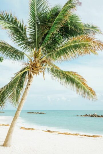 Florida Keys Secret Gem - Sisäinen opas Key Colony Beachille