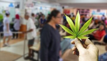 Como a cannabis promove a cura enquanto a grande indústria farmacêutica promove o controle de doenças