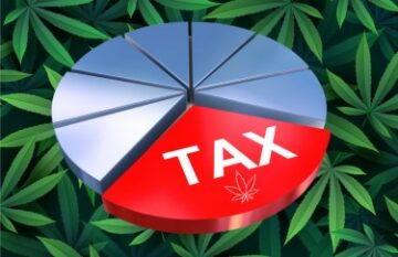 Hvordan hjælper skatteindtægterne fra salg af marihuana dit samfund? Skoler, vejreparationer, behandlingscentre og meget mere!