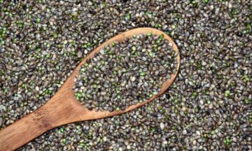 Cum să cumpărați online semințe de canabis