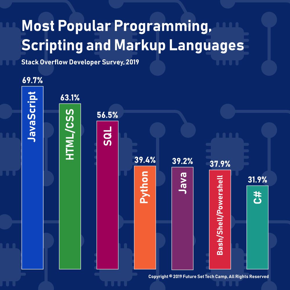 programming languages popularity | data visualization in infographics