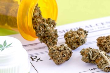 Les militants de l'Idaho continuent de chercher à obtenir une mesure du cannabis médical lors du scrutin de 2024