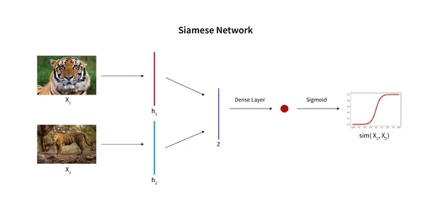 Siamese Networks
