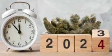 2024年还值得申请医用大麻卡吗？
