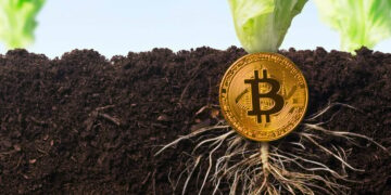 KPMG Bitcoin Report Marks 'A Milestone The Bitcoin Ecosystem Should Celebrate': Analyst - Decrypt
