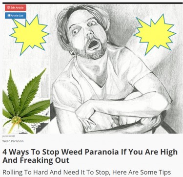 WEED PARANOIA TIPS