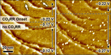 電極触媒表面の微視的変化