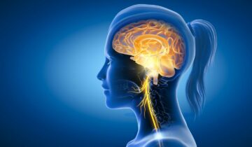 Novel vagus nerve stimulation devices, pathways and indications driving market growth