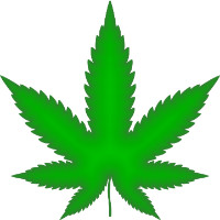 AVVISO PUBBLICO: Avviso di intenti per l'abrogazione delle regole sulla marijuana medica per il 2023 – World News Report – Connessione al programma sulla marijuana medica