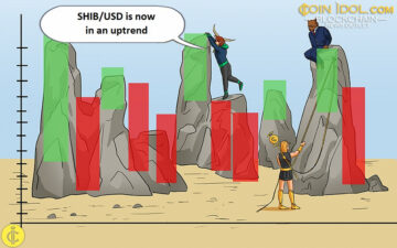 Shiba Inu набирає обертів, але намагається досягти 0.00001050 доларів