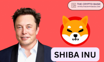 Shiba Inu Responds to Elon Musk Appreciation Tweet, Says Its “DMs Are Open”