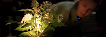 Simone și Laura fac o lampă cu plante vie