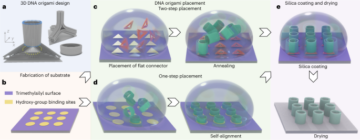 Site-directed placement of three-dimensional DNA origami - Nature Nanotechnology