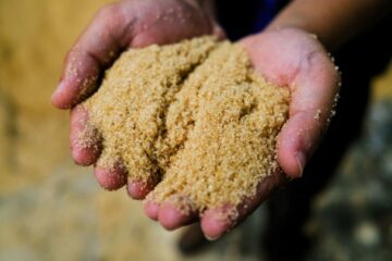 A cukor kéthónapos csúcsa felé tart az aggodalmak az indiai export miatt