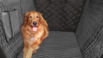 הכיסויים הטובים ביותר למושב רכב לכלבים בשנת 2023 - Autoblog