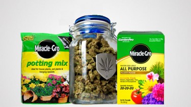 SCOTTS MIRACLE GRO CANNABIS DIVISION