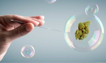 Bubblan fortsätter att spricka i cannabisindustrin när hack och spade spelar flopp på resultatrapporter