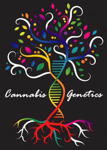 The Importance of Genetics for Cannabis Seeds - What to Know Before You Buy!