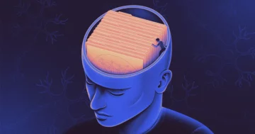 L'utilité d'une mémoire guide où le cerveau la sauvegarde | Magazine Quanta