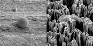 Titanium mikro-spets spett resistenta superbugs