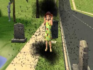 The Sims Death By Flies Top Ten Ways to Kill Your Sim #2