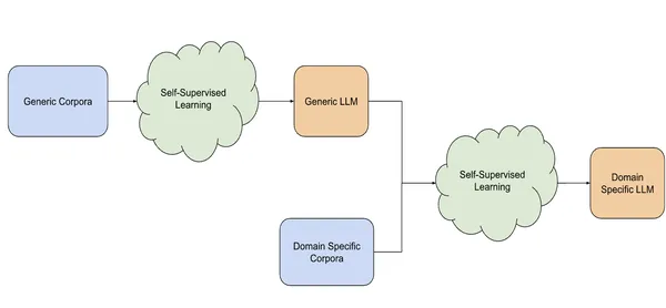 Domain-Specific LLMs