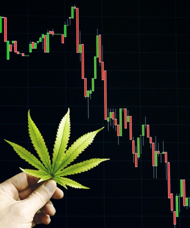 ماذا يقول إغلاق صندوق AdvisorShares Cannabis ETF الاستثماري عن مستقبل صناعة الماريجوانا؟