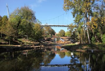What Is Greenville, SC, Known For? 10 Reasons to Fall In Love