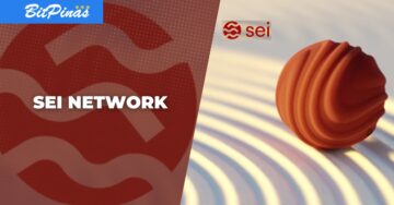 Hva er SEI Token? Ny Layer1 Blockchain til debut | BitPinas