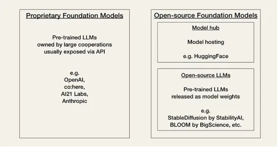 Proprietary vs open-source foundation models